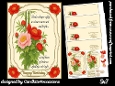 Floral Occasions 5x7