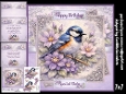 Feathers and Flowers
