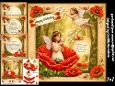 Poppy the flower Fairy