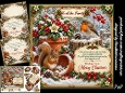 Christmas Robin and squirrel