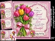 Beautiful Tulips