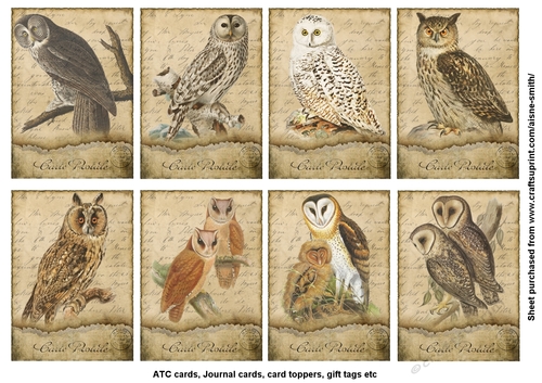 Vintage Owl Cards