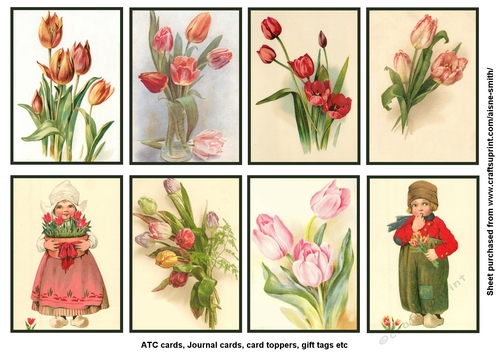 Vintage Tulips Card Toppers / Tags