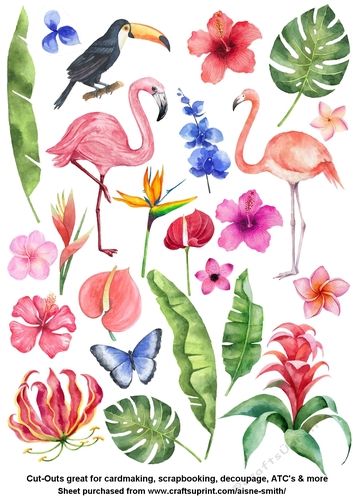 Tropical Watercolor Cut Outs