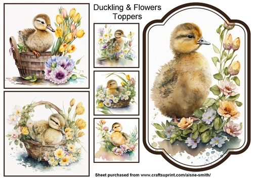 Duckling With Flowers Toppers