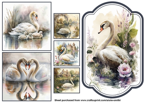 Swans Toppers
