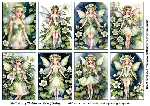 Hellebore (Christmas Rose) Fairy Tags / Toppers / ATC