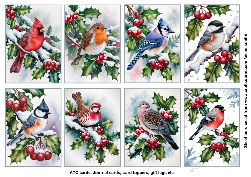 Winter Birds Toppers / Tags 
