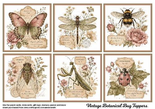 Vintage Botanical Bugs Toppers