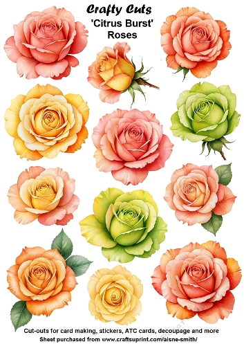 Citrus Burst Roses Fussy Cuts Collage Sheet