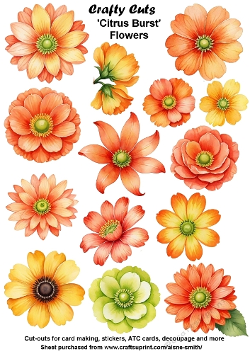 Citrus Burst Flowers Fussy Cuts Collage Sheet