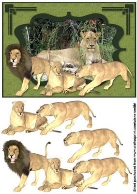 Africa - Lions