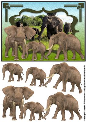 Africa - Elephants