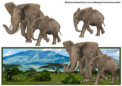 Elephant Landscape Over the Edge