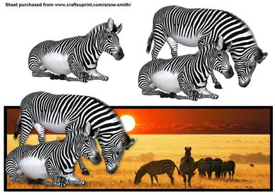 Zebra Landscape Over the Edge
