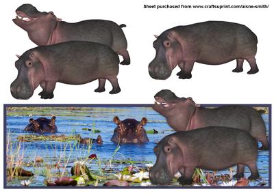Hippo Landscape Over the Edge