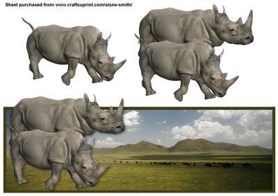 Rhino Landscape Over the Edge