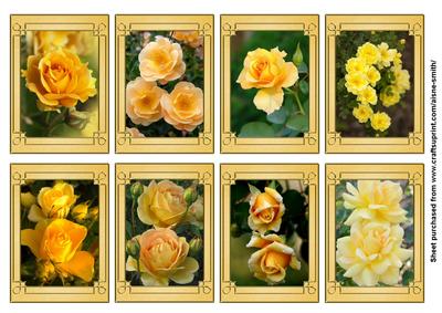 Flower Series: Yellow Roses