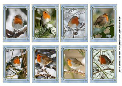 Birds: Winter Robin Tags