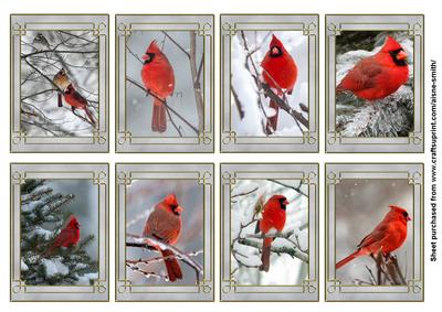 Birds: Winter Cardinal Tags