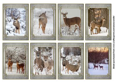 Winter Deer Tags