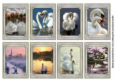 Swan Song Tags