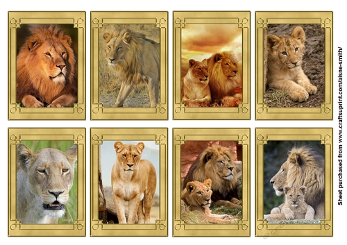 Lions Tags / Note Cards