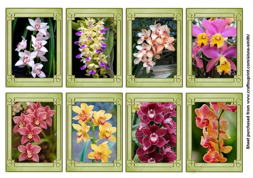 Orchids Tags / Mini Cards