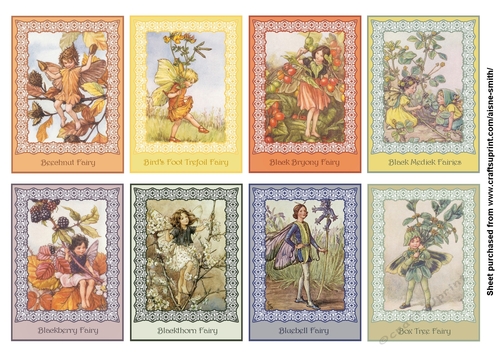 Flower Fairies 02 (B)
