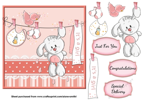 Baby Girl Bunny