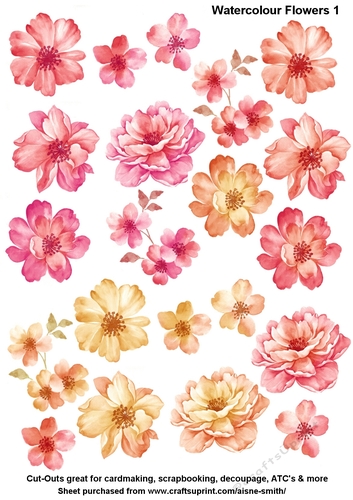 Watercolor Flowers 1 Cut-Outs