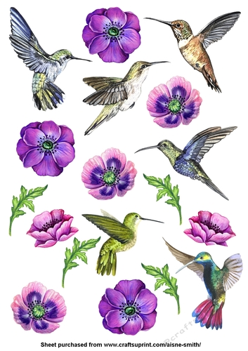 Watercolor Hummingbirds Cut Outs