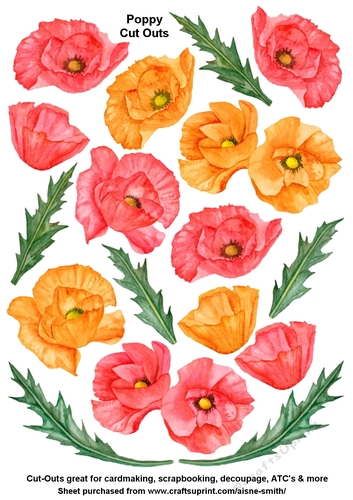 Poppy Watercolor Cut Outs