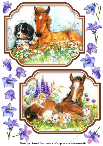 Farm Friends