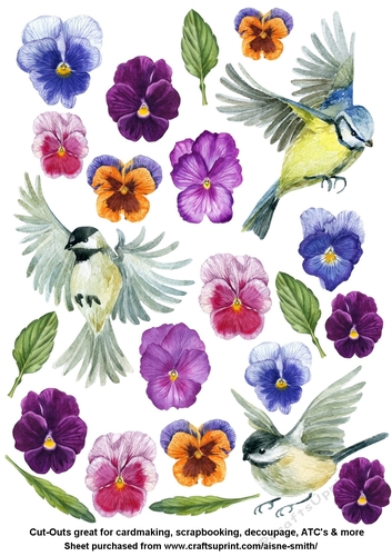 Watercolor Pansies & Birds Cut-Outs