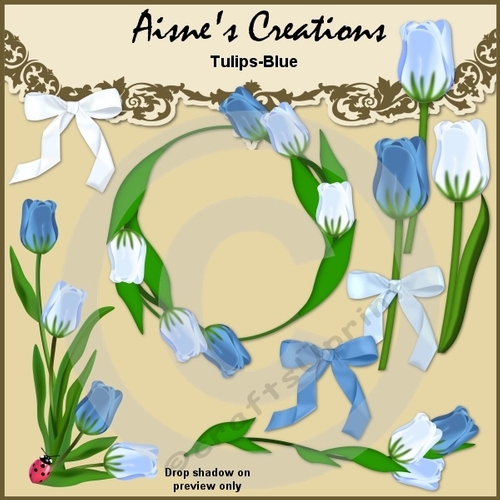 Blue Tulips