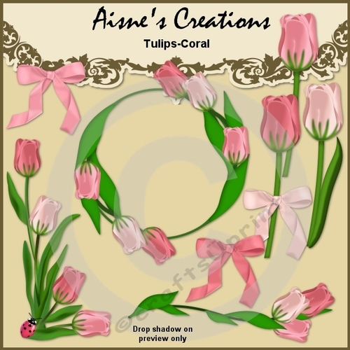 Coral Tulips