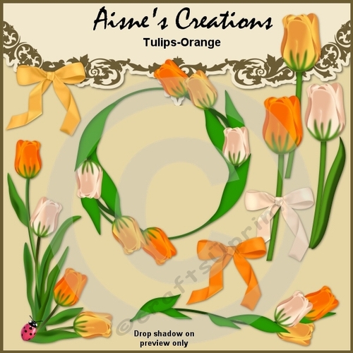 Orange Tulips