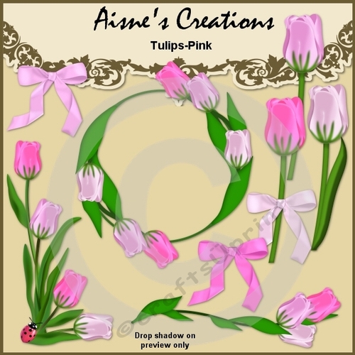 Pink Tulips