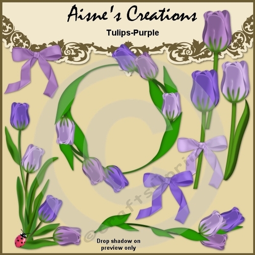 Purple Tulips