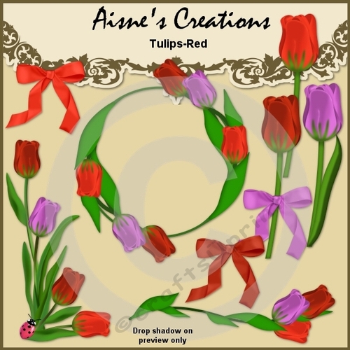 Red Tulips