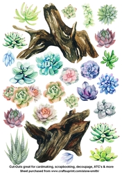 Succulents Cut Outs