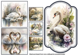 Swans Toppers