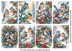 Winter Birds Tags / Toppers / Journal cards / ATC cards