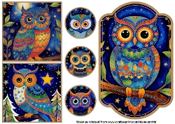 Starry Night Owl Toppers