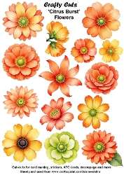 Citrus Burst Flowers Fussy Cuts Collage Sheet