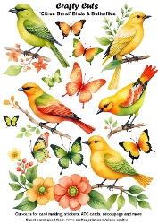 Citrus Burst Birds & Butterflies Fussy Cuts Collage Sheet