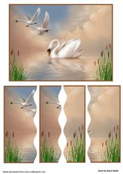 Swan Lake