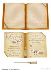 Wedding Wish