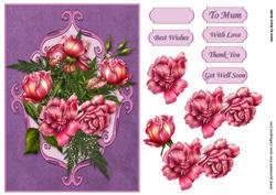 Rose Delight